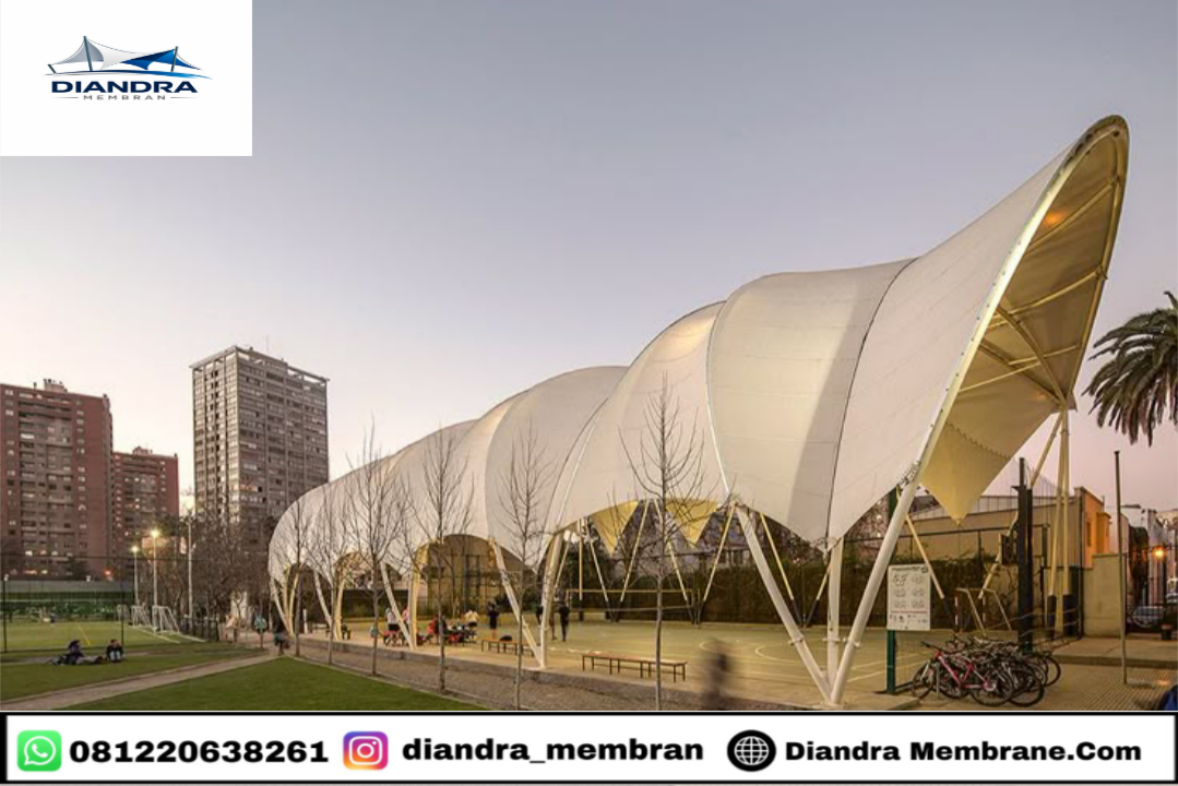 Area Plaza Membrane