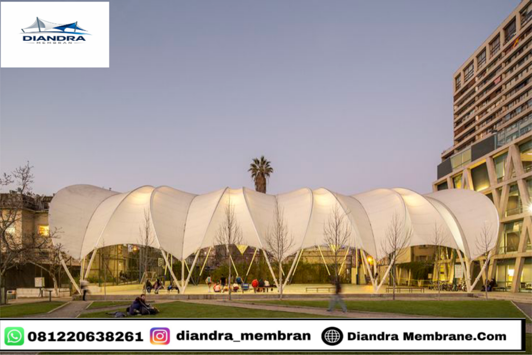 Shelter Publik Membrane